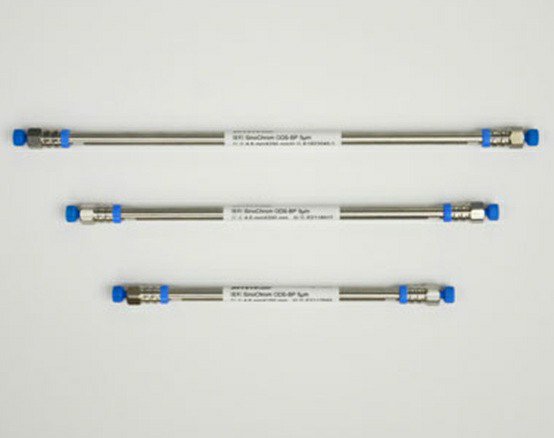 SinoChrom蛋白質(zhì)柱