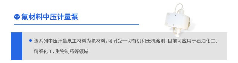 氟材料中壓計(jì)量泵