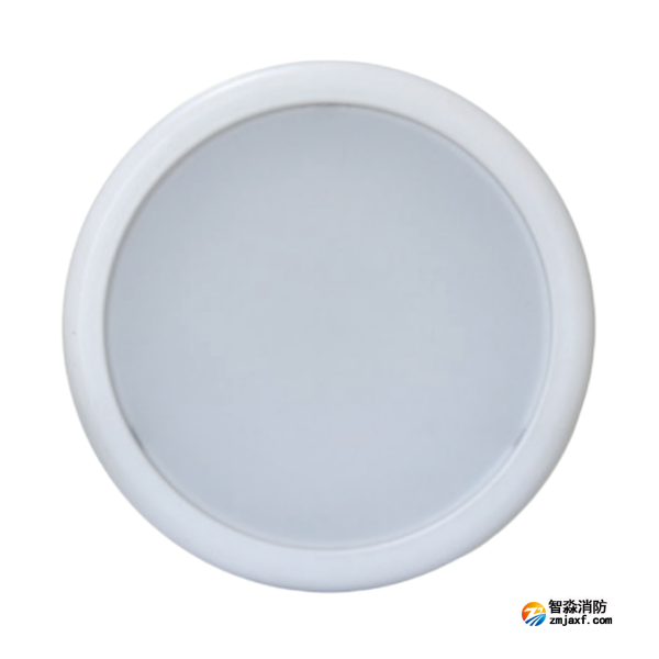 新疆海灣HW-ZFJC-E9W-N657集中電源集中控制型消防應急照明燈具